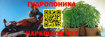 амф Аргун