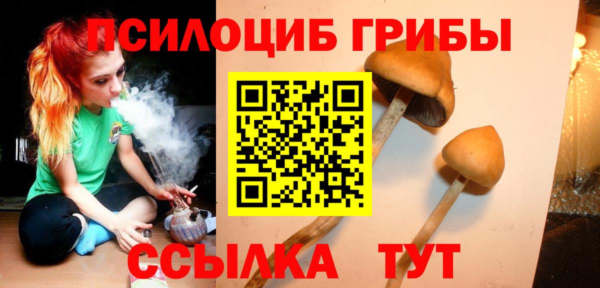 Псилоцибиновые грибы Psilocybine cubensis Балабаново